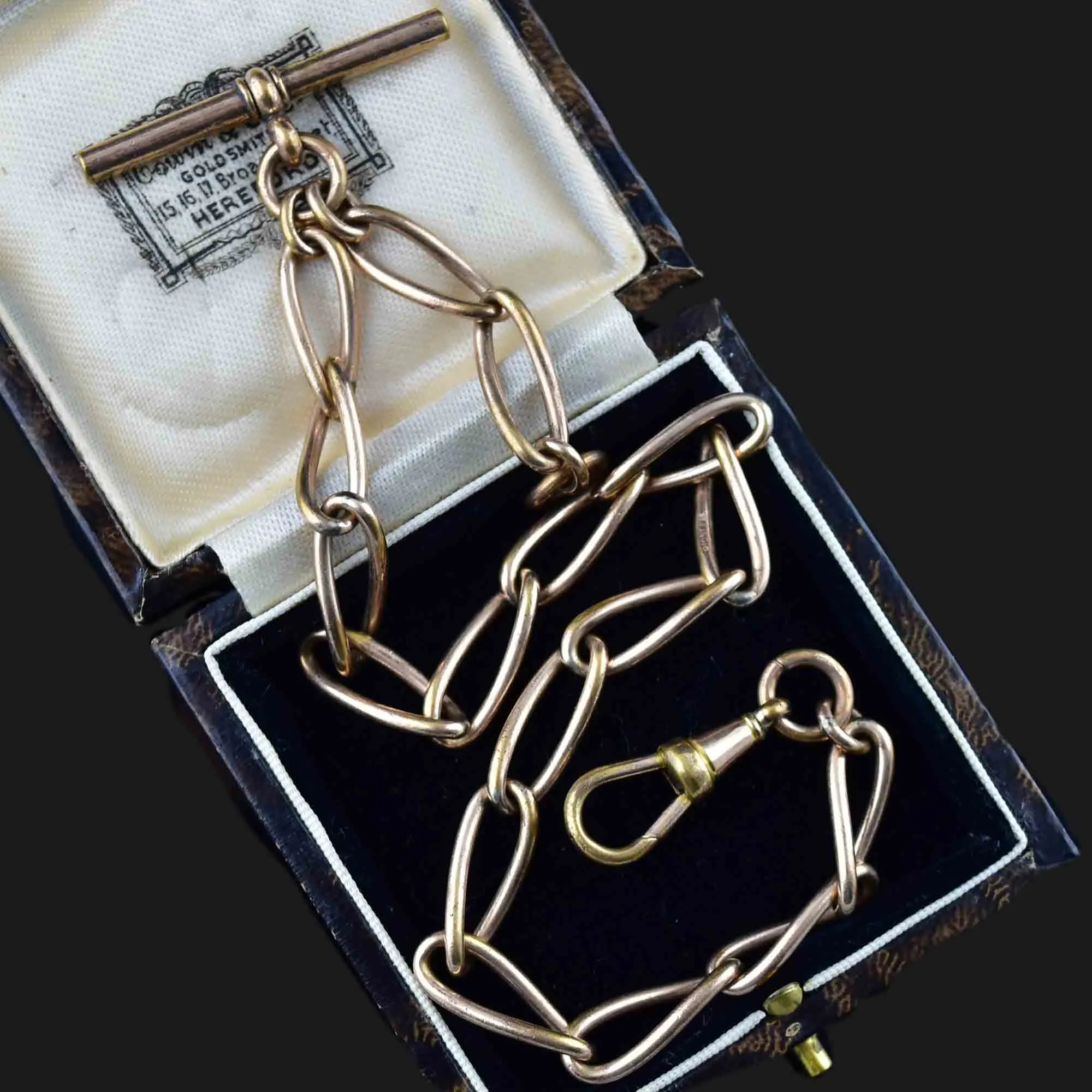 Antique Edwardian Single Albert Watch Chain Necklace